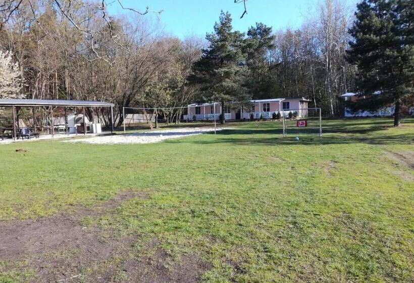 호텔 Ferienparadies Waldidylle, Familiengeführt Seit 20 Jahren   Mit Großem Pool Und Viel Platz!