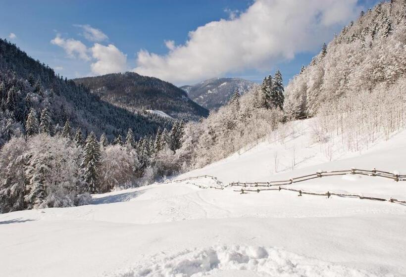 호텔 Gasthof Mauthäusl