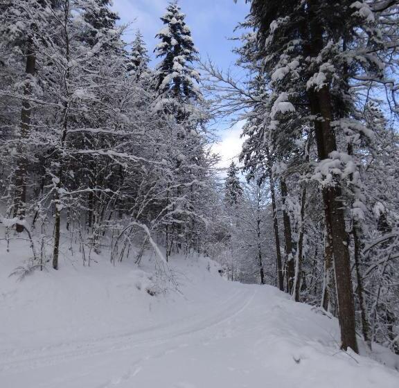 호텔 Gasthof Mauthäusl