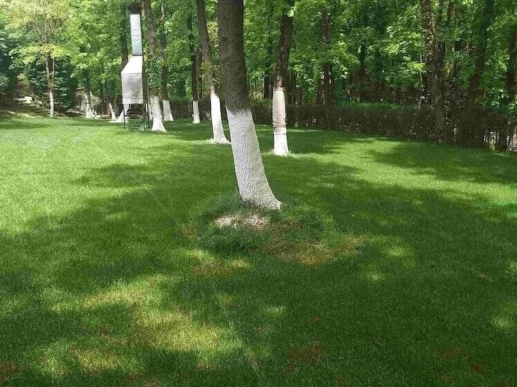 בית מלון כפרי Green House Garden Park