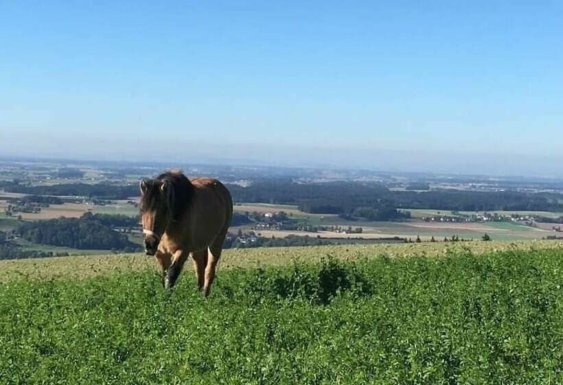 בית מלון כפרי Hochhubergut