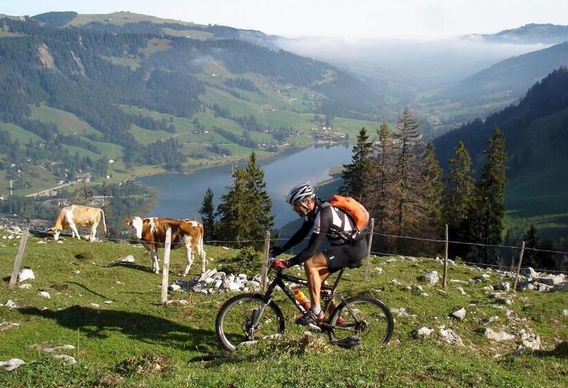 호텔 Hostellerie Am Schwarzsee