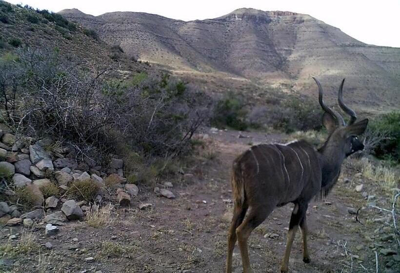 فندق Kalkfontein Guesthouse