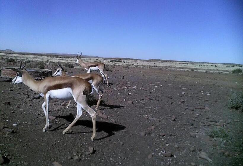 فندق Kalkfontein Guesthouse