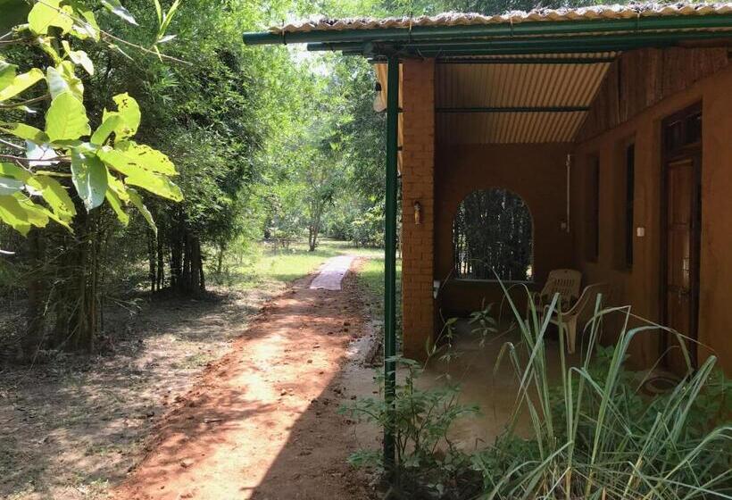 호텔 Kamp Kamouflage Kanha