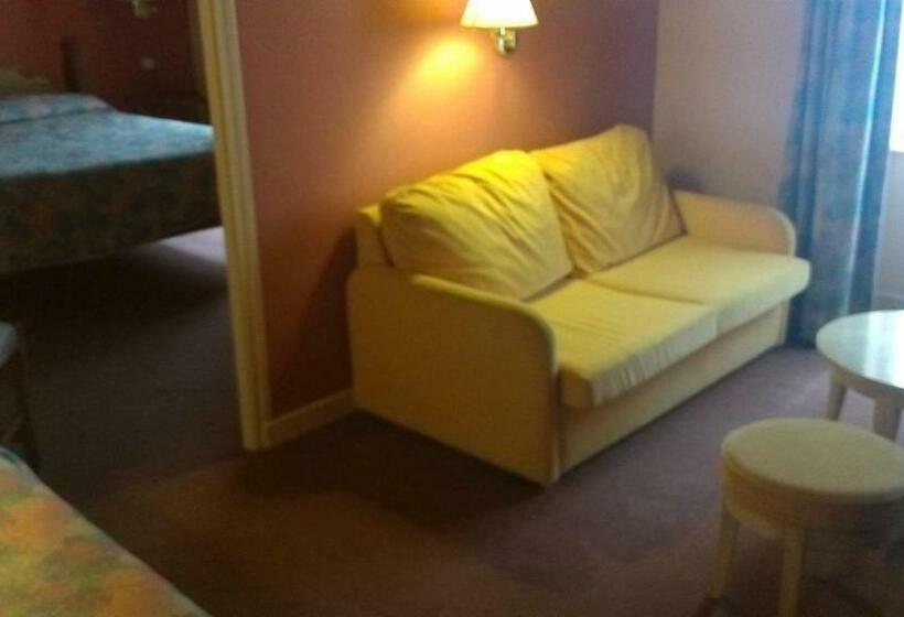 酒店 La Fleur De Lys