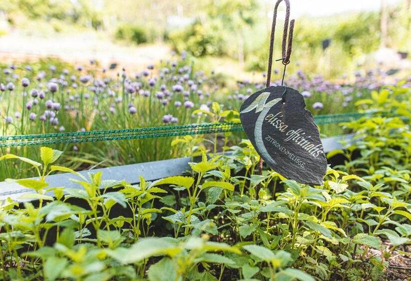 Отель Mühle Am Schlossberg