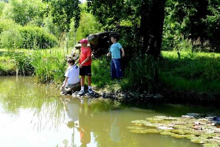 호텔 Mlyn   Jihlava