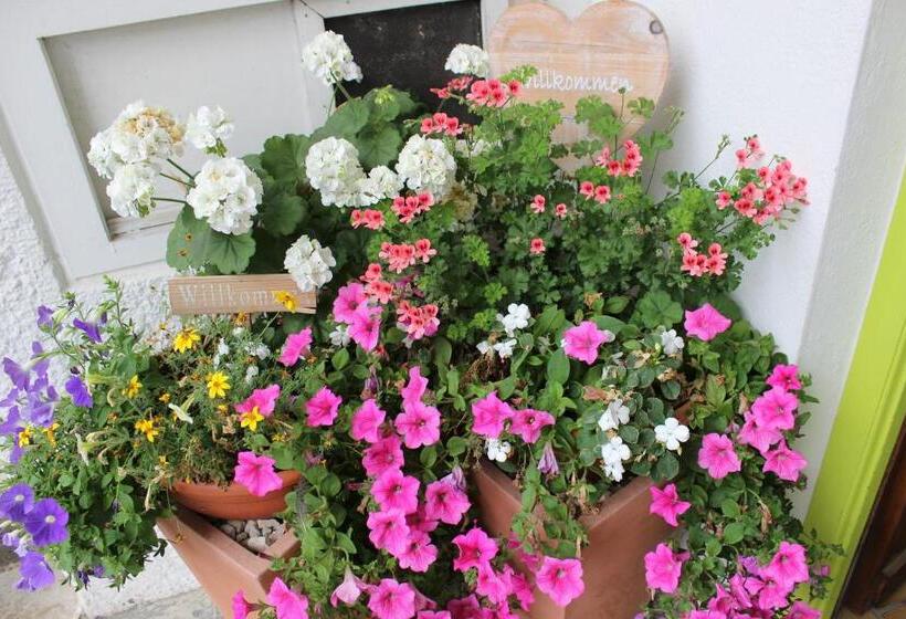 ホテル Outdoor Zentrum Allgäu  Hostel