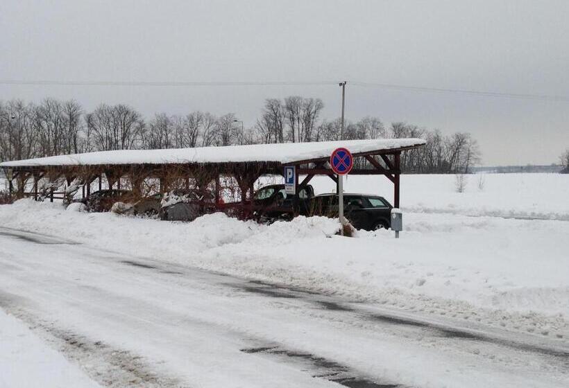 호텔 Patyi étterem és