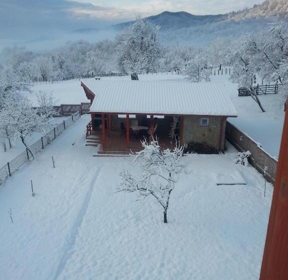 Отель Pensiunea Agroturistica Ioana