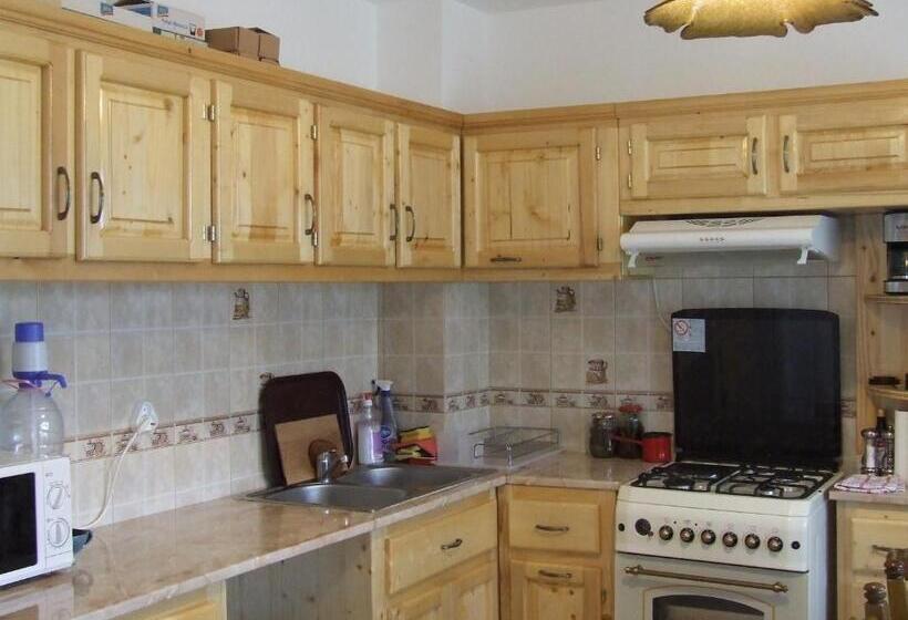 Отель Pensiunea Agroturistica Ioana