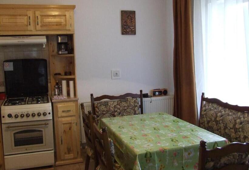 Отель Pensiunea Agroturistica Ioana