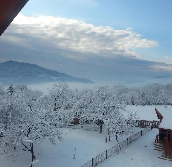 Отель Pensiunea Agroturistica Ioana