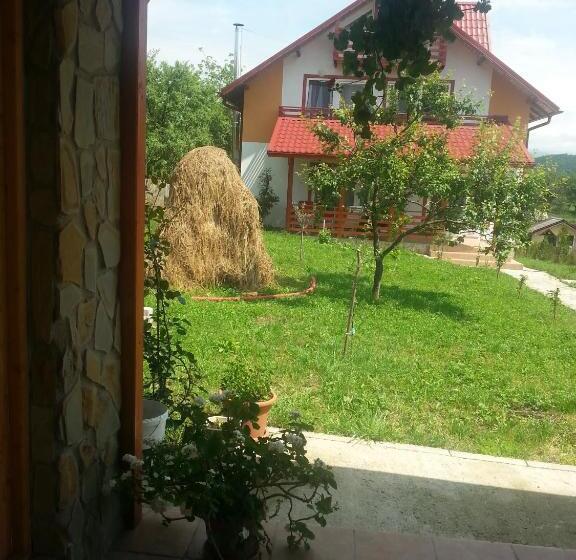 Отель Pensiunea Agroturistica Ioana