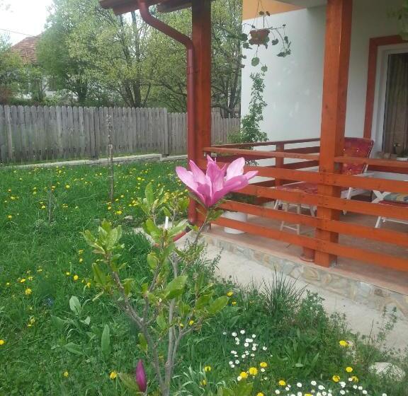 Отель Pensiunea Agroturistica Ioana