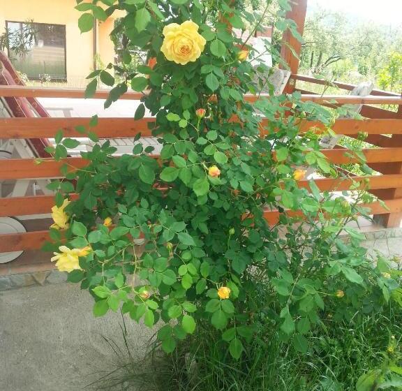 Отель Pensiunea Agroturistica Ioana