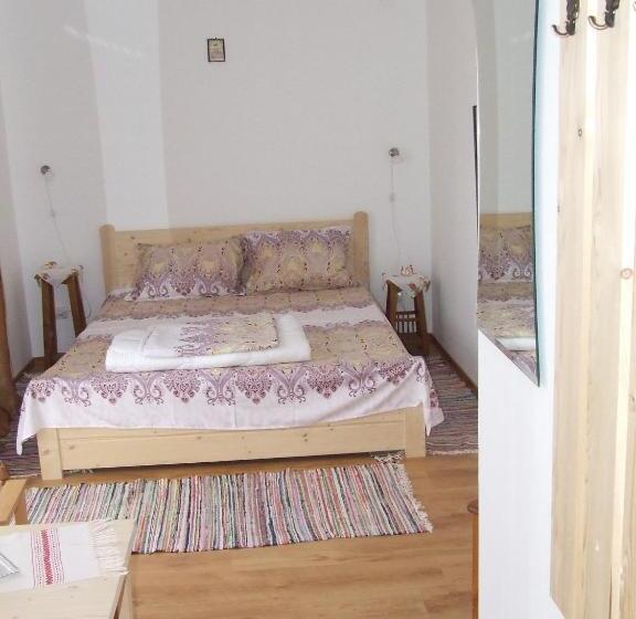 Отель Pensiunea Agroturistica Ioana