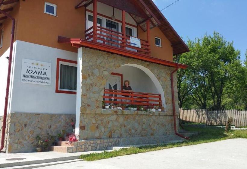 Отель Pensiunea Agroturistica Ioana