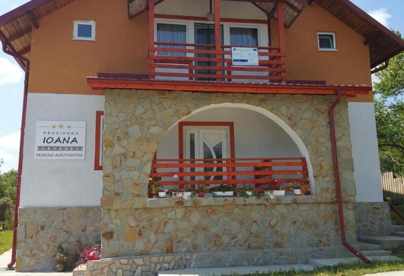 Отель Pensiunea Agroturistica Ioana