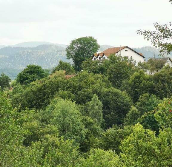 酒店 Pensiunea Tabacaru