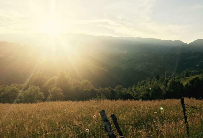 酒店 Pensiunea Tabacaru