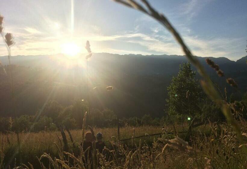 酒店 Pensiunea Tabacaru