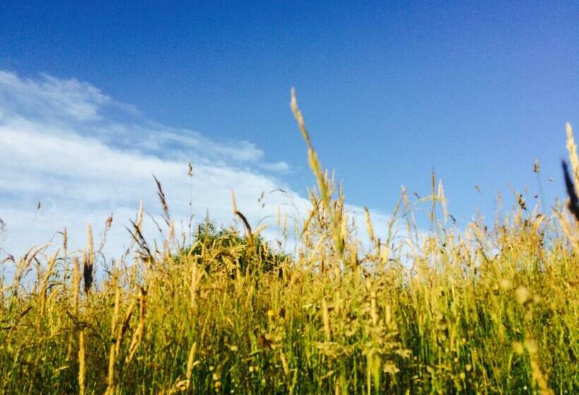 酒店 Pensiunea Tabacaru