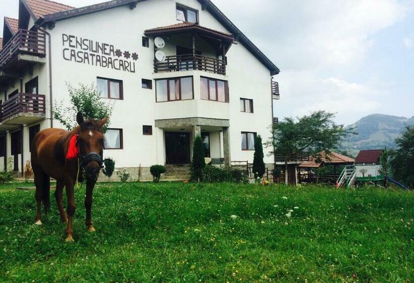 酒店 Pensiunea Tabacaru