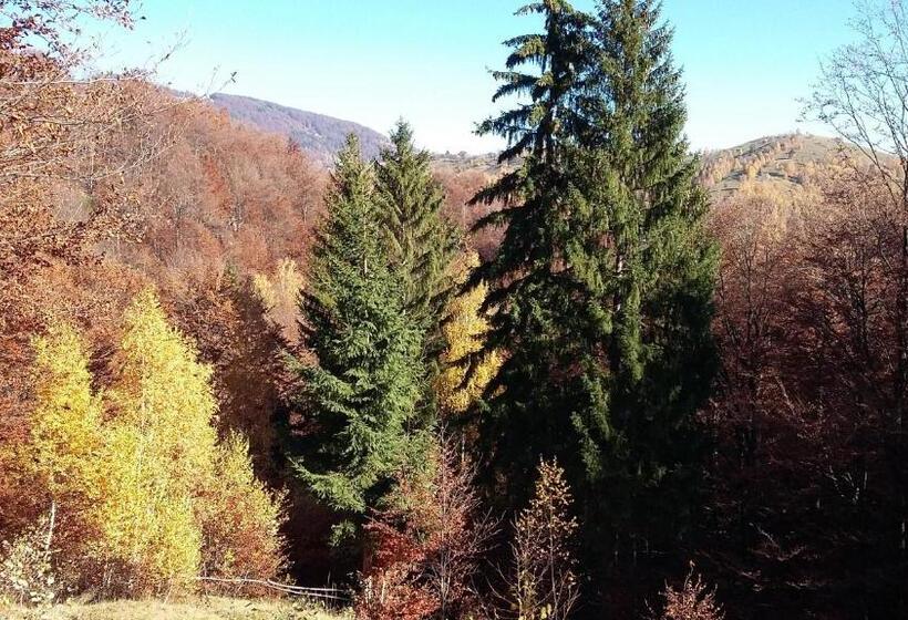 酒店 Pensiunea Tabacaru