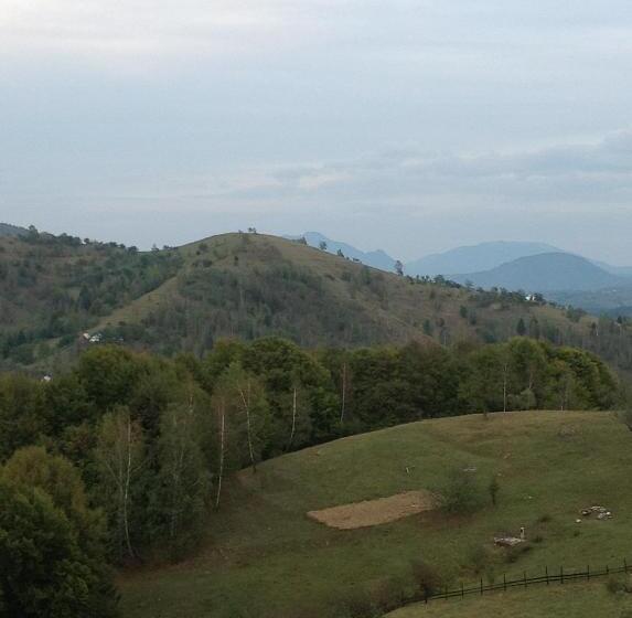 酒店 Pensiunea Tabacaru