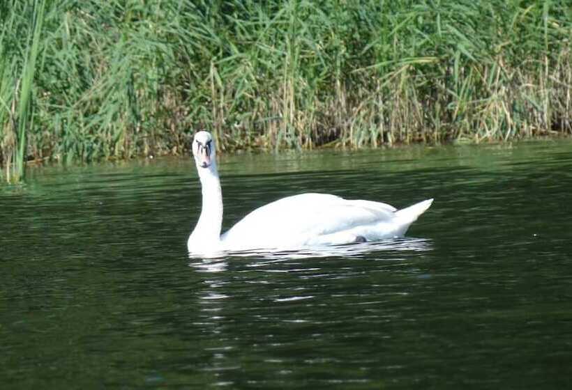 酒店 Restaurant Alter Krug Kallinchen