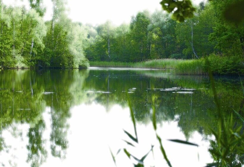 酒店 Restaurant Alter Krug Kallinchen