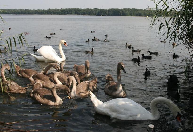 酒店 Restaurant Alter Krug Kallinchen