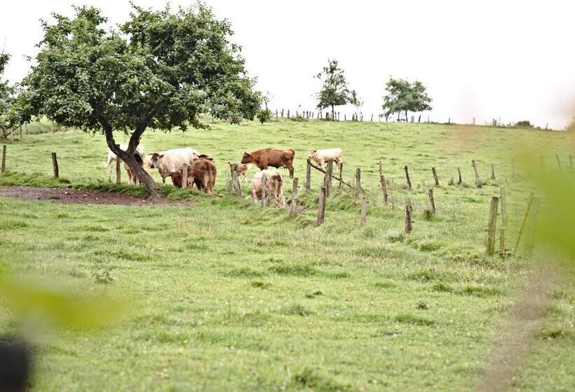 호텔 Restaurant Im Heisterholz