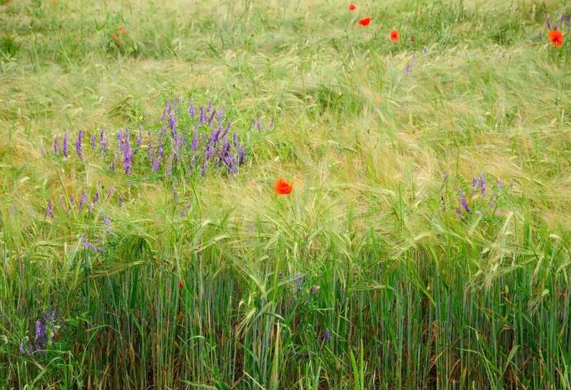 Отель Schlossresidenz Heitzenhofen