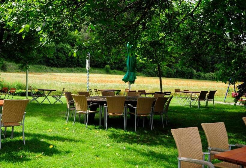 Отель Schlossresidenz Heitzenhofen