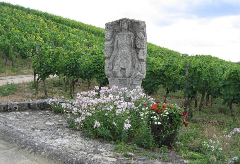 בית מלון כפרי Schwarzes Ross