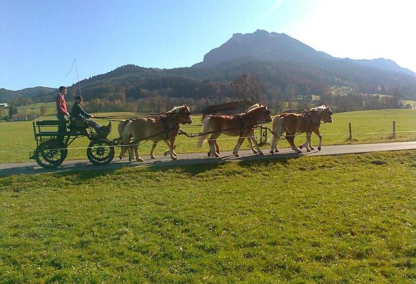 ホテル Sonnenkaiser