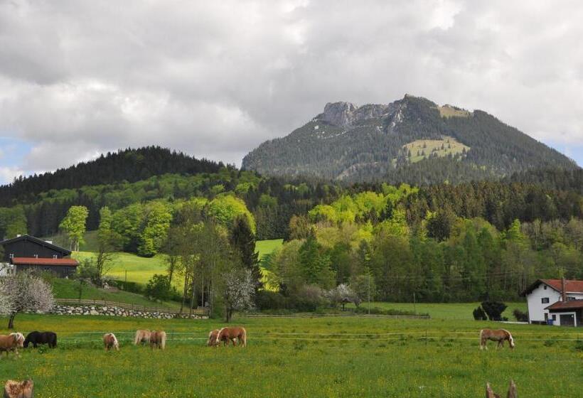 ホテル Sonnenkaiser