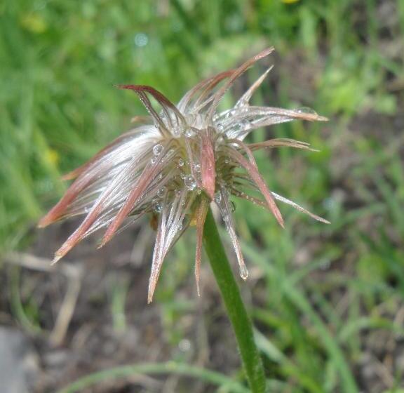 בית מלון כפרי Urirotstock