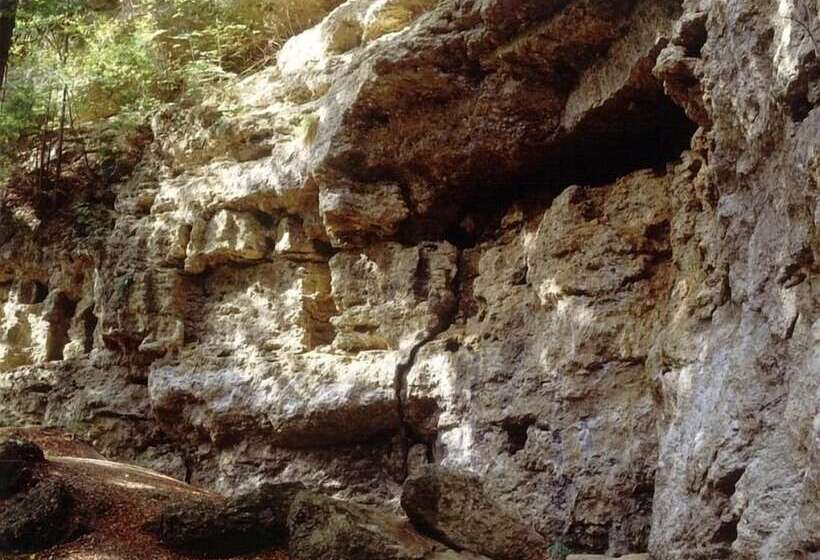 ホテル Waldgasthof Buchenhain