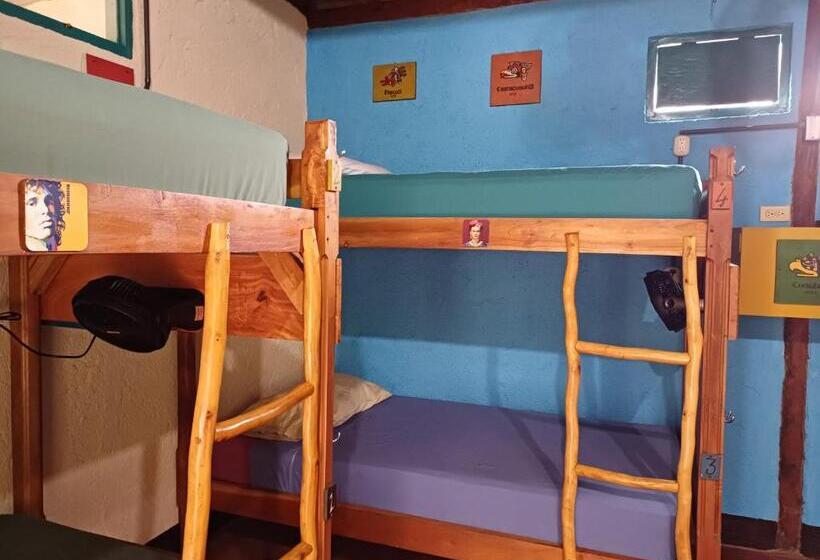 La Urraca Loca Hostel