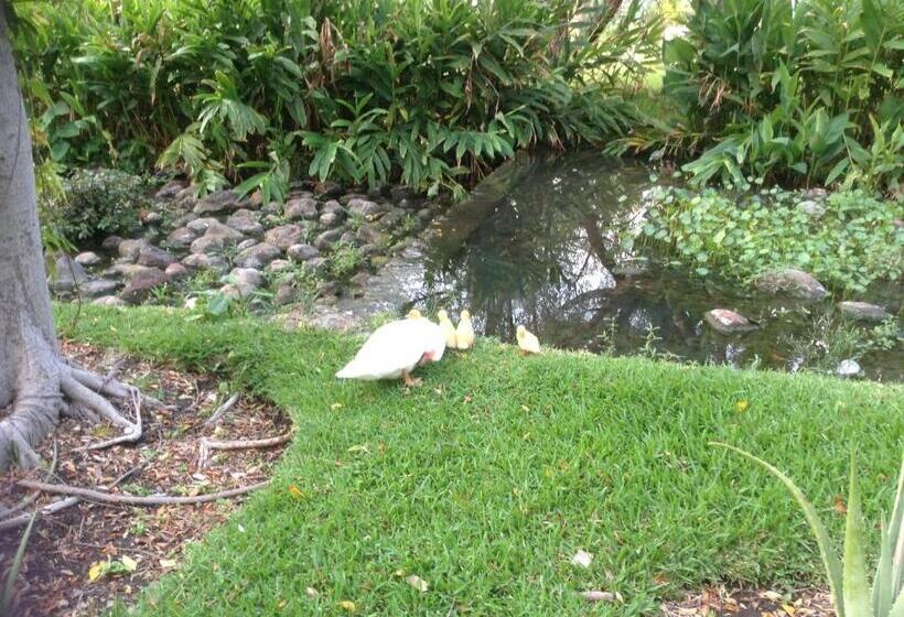 Los Naranjos Hotel Boutique