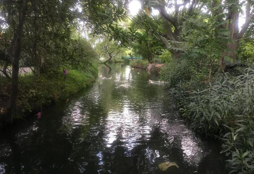 Los Naranjos Hotel Boutique