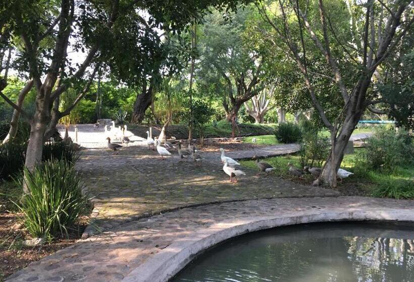 Los Naranjos Hotel Boutique