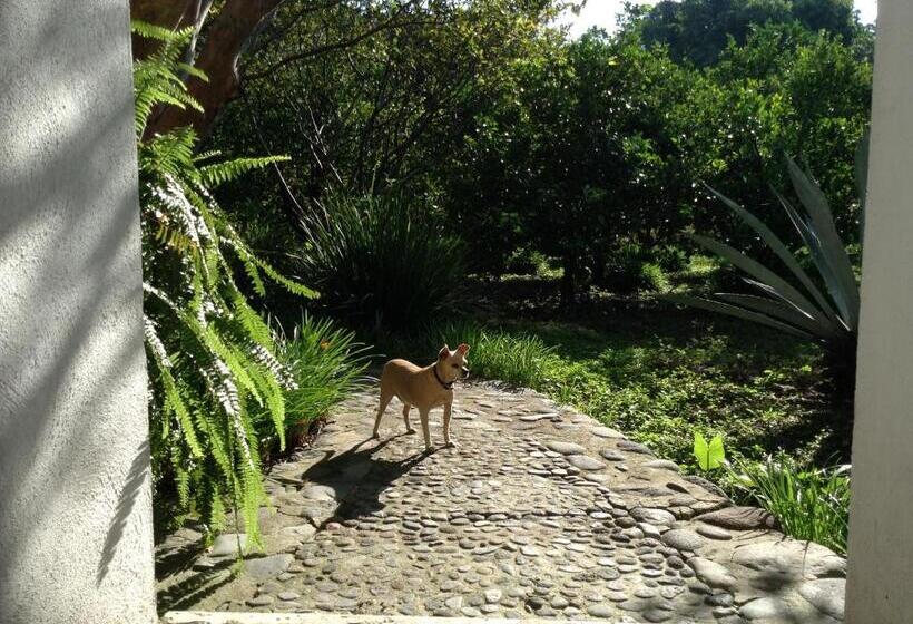 Los Naranjos Hotel Boutique