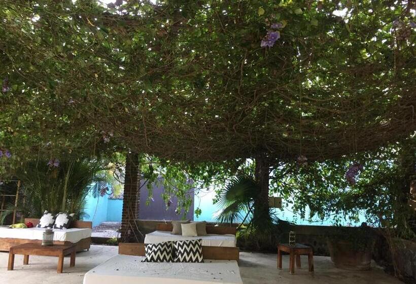 Los Naranjos Hotel Boutique