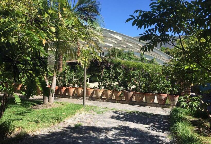 Los Naranjos Hotel Boutique