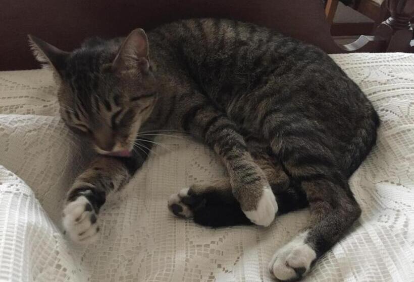 Los Naranjos Hotel Boutique